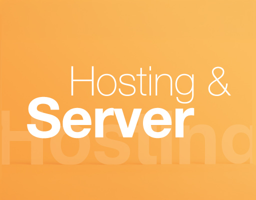 IT Service